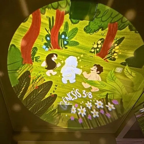 6 Discos Ilustrados