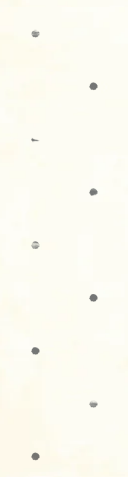 Ilustração esquerda decorativa