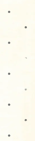 Ilustração direita decorativa